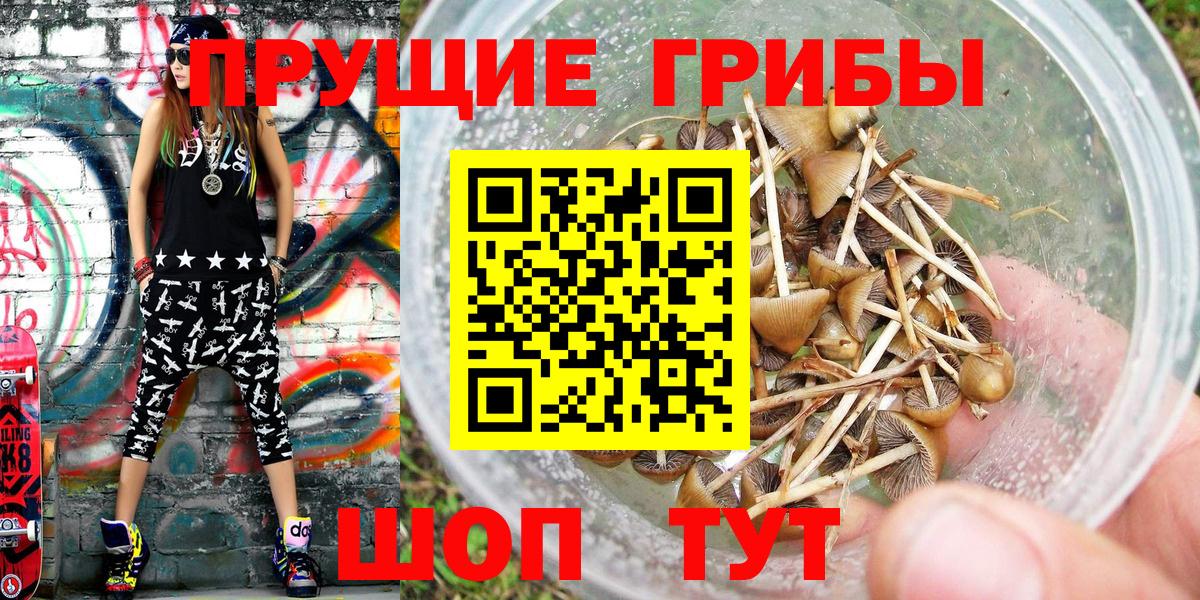 Псилоцибиновые грибы GOLDEN TEACHER Кубинка
