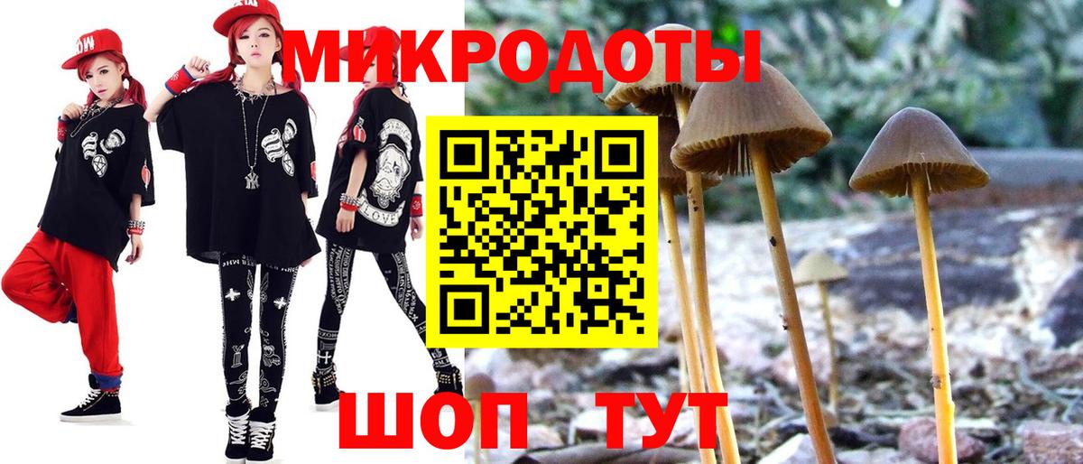 Галлюциногенные грибы мицелий  Псилоцибиновые грибы прущие грибы  Вход с VPN  Кубинка 