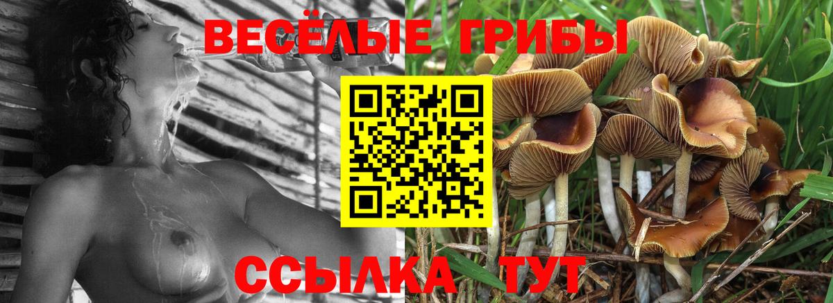 Лсд 25  Вейп ТГК  МЕФ кристаллы  ГАШ  Кубинка  Метамфетамин  A PVP СК кристаллы  Вход с VPN 